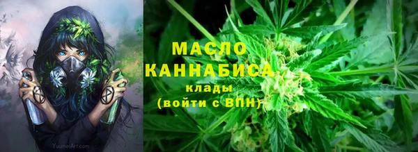 сатива Аркадак