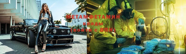 сатива Аркадак
